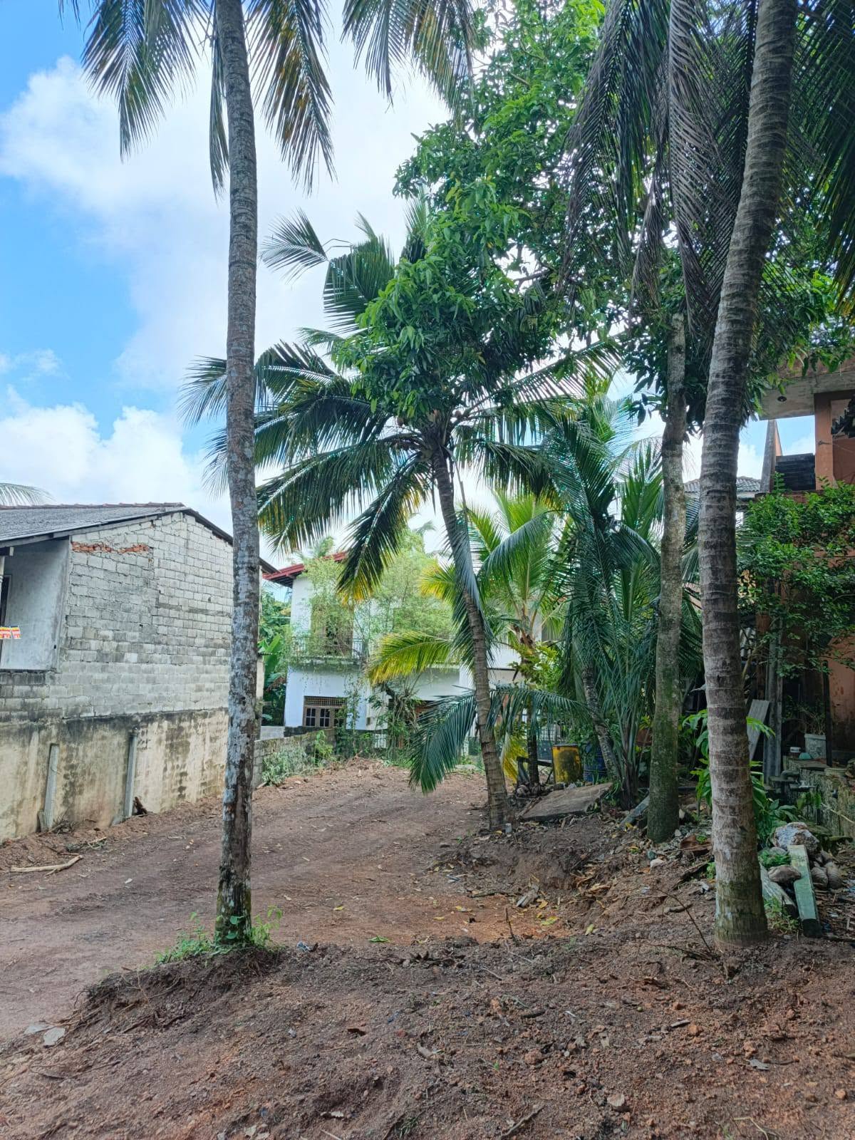 Land For Sale In Kottawa - Image 4