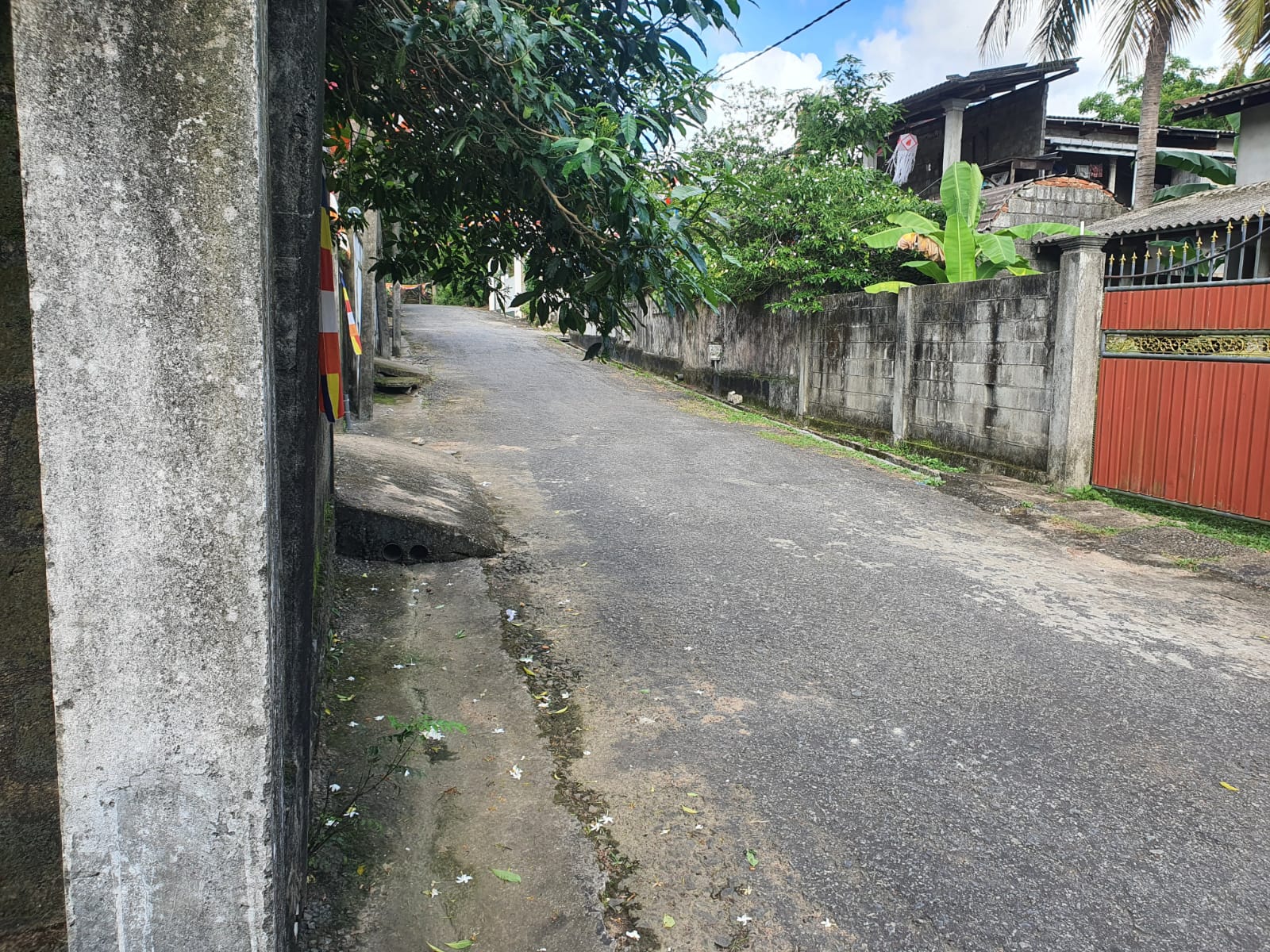 12 perch Land for sale - Image 5